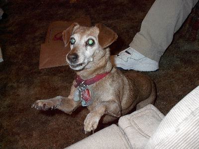 Shorty Lou!