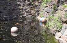 Oh they DO have balls! -Carlie
